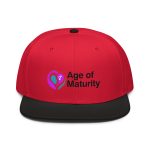 Snapback Hat - Image 5