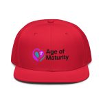 Snapback Hat - Image 22